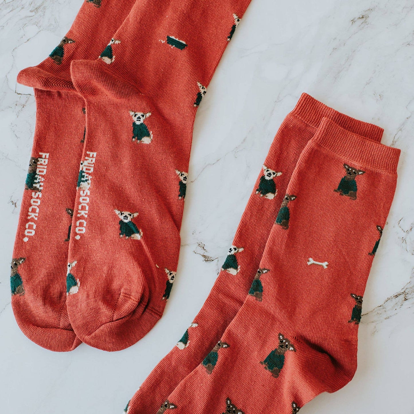 Women's Little Dogs in Sweaters Socks