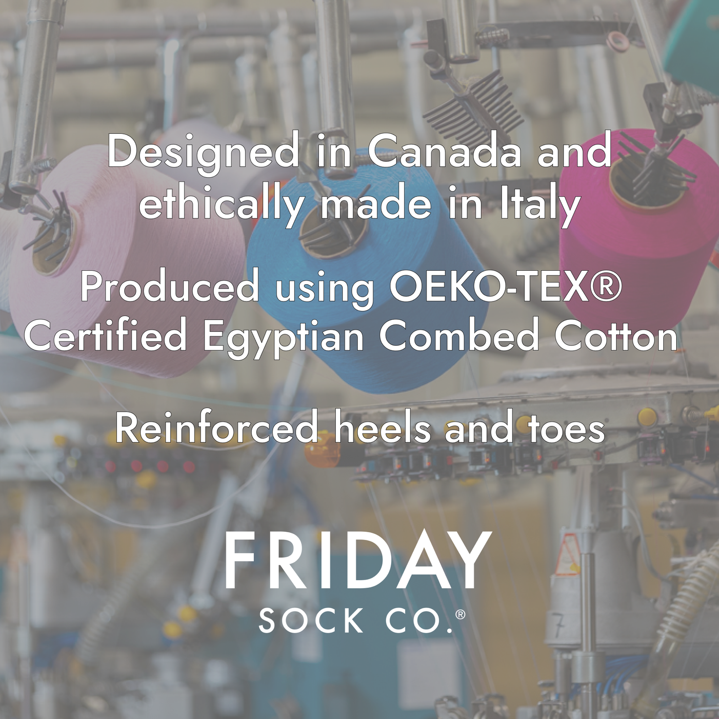 Merino Wool Women's Socks | Skunk | Mismatched | Eco