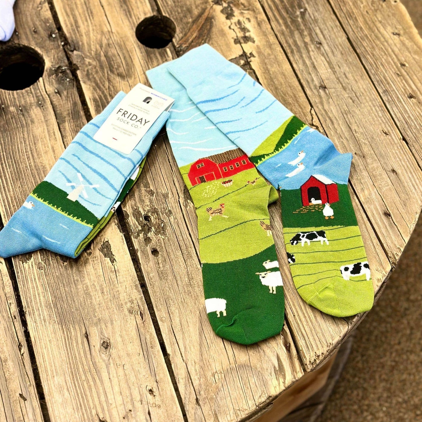Men's Socks | Barnyard Scene | Farm Animals | Made in Italy