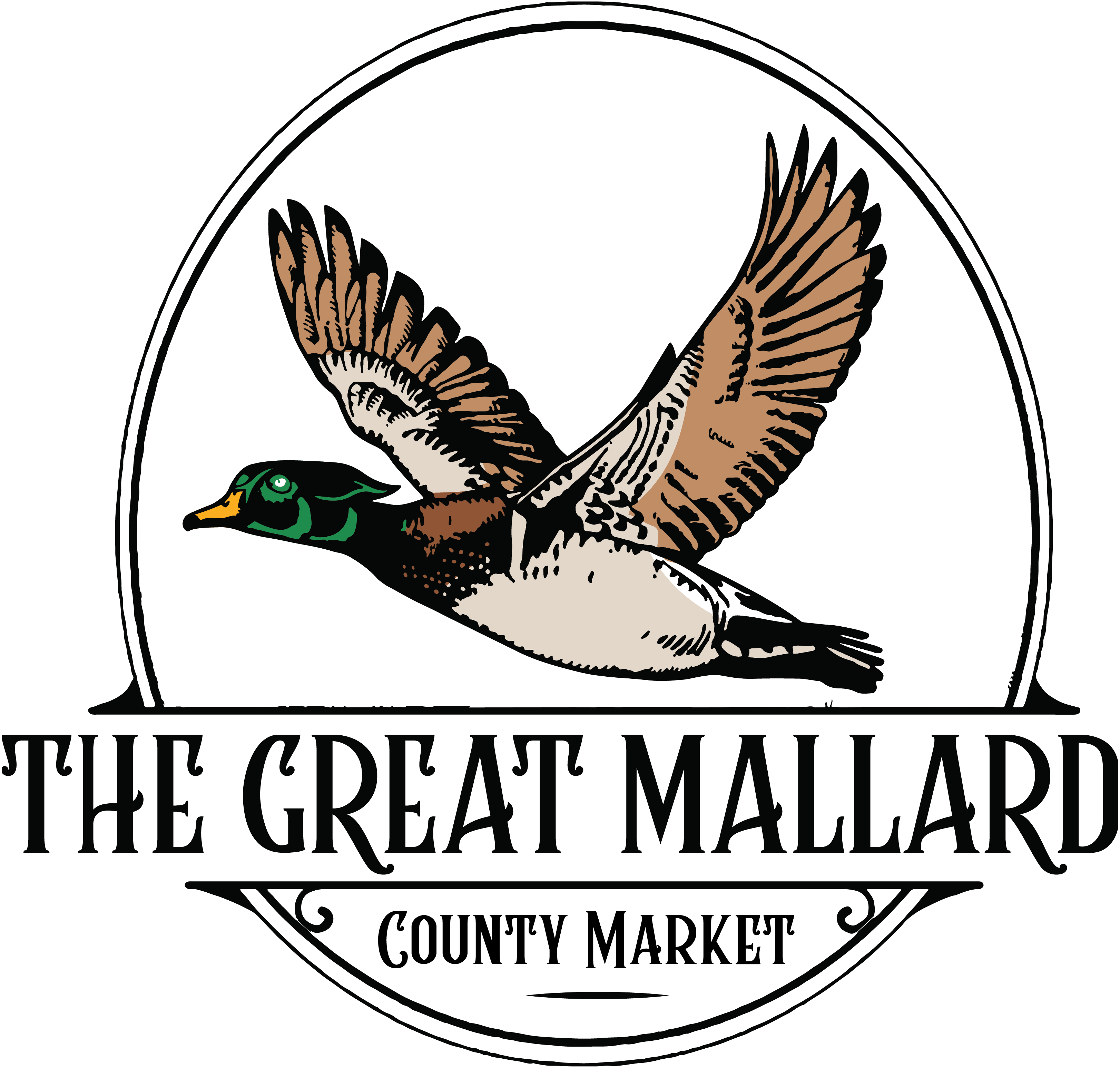 The Great Mallard