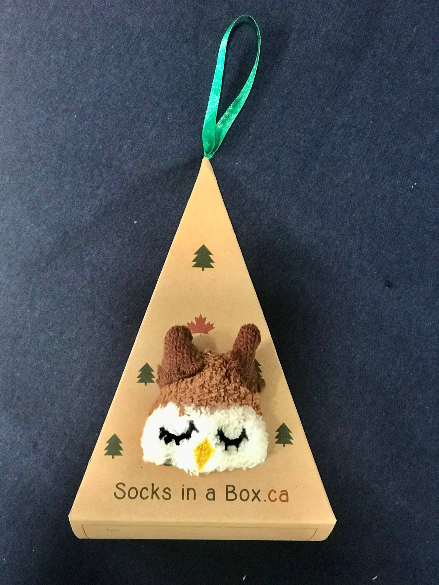 Owl Socks in a Box