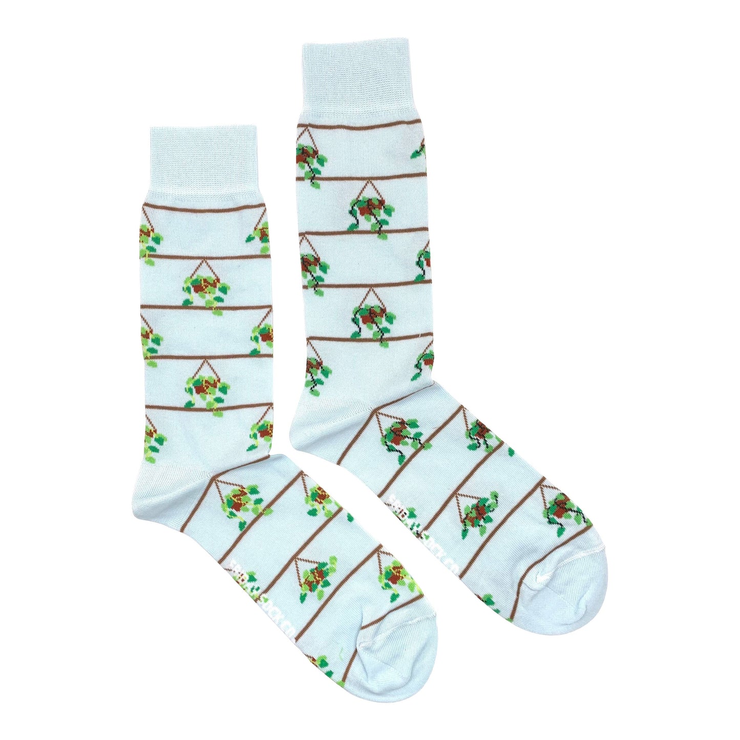 Men's Socks | Pothos Plant Socks | Epipremnum Aureum