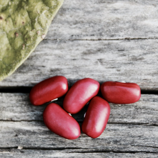 Certified Organic Red Kidney Beans