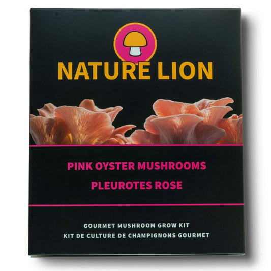 PINK OYSTER MUSHROOM GROW KIT